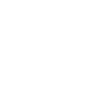 pzpn_logo_brazowy_certyfikat